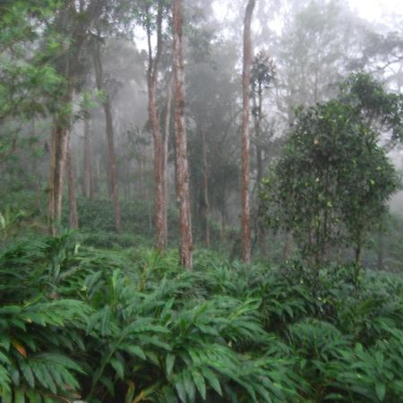 Greenspaces B&B Munnar Dış mekan fotoğraf