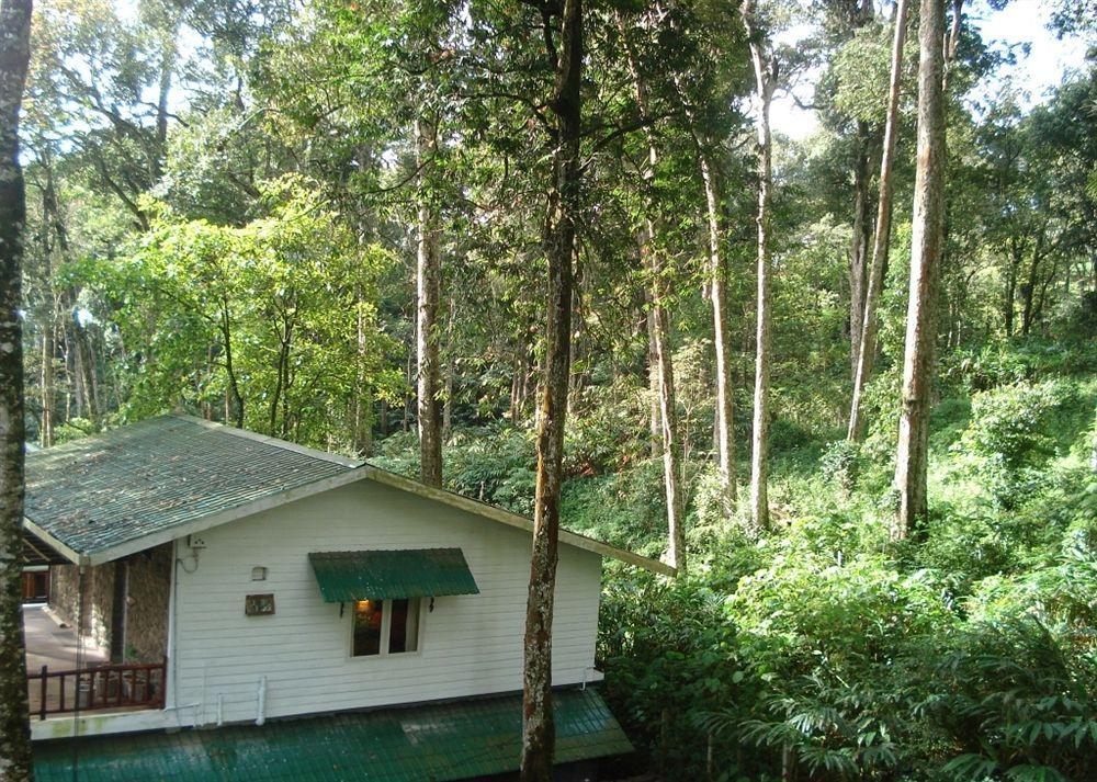 Greenspaces B&B Munnar Dış mekan fotoğraf