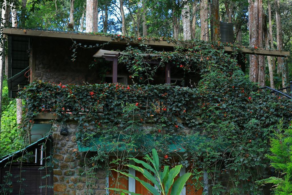Greenspaces B&B Munnar Dış mekan fotoğraf