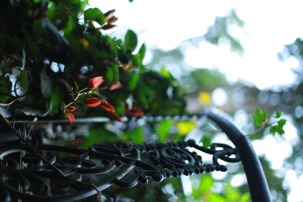 Greenspaces B&B Munnar Dış mekan fotoğraf