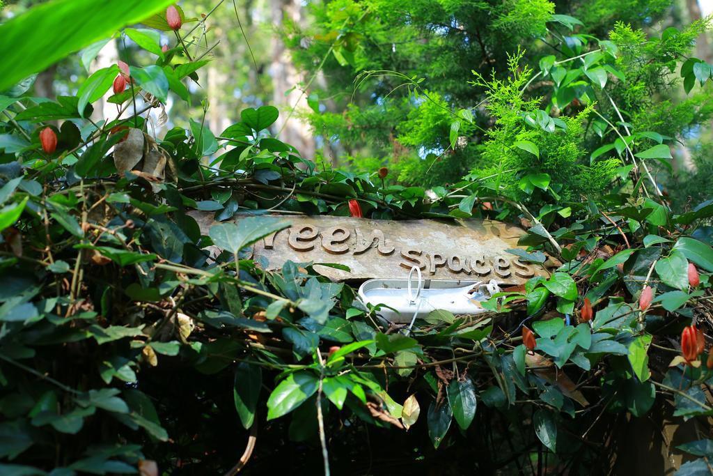 Greenspaces B&B Munnar Dış mekan fotoğraf