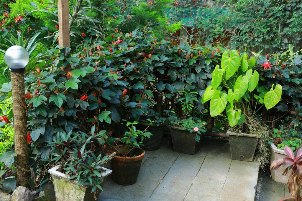Greenspaces B&B Munnar Dış mekan fotoğraf
