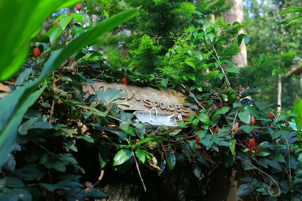 Greenspaces B&B Munnar Dış mekan fotoğraf