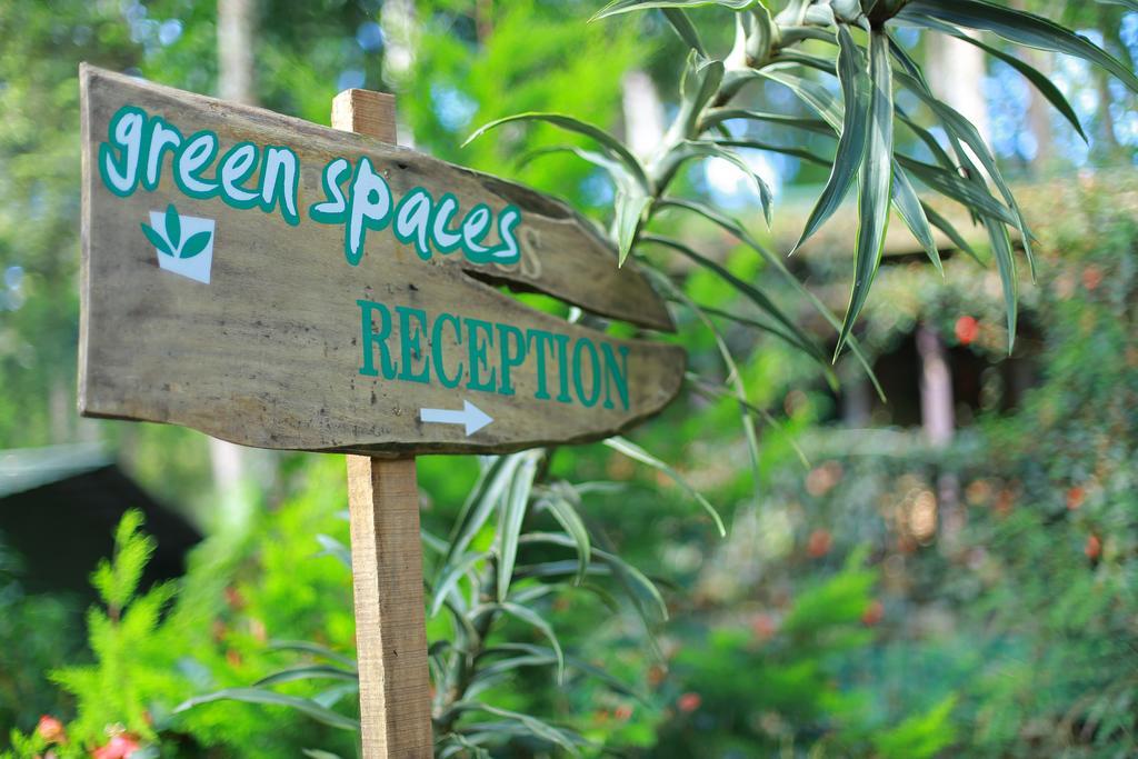Greenspaces B&B Munnar Dış mekan fotoğraf