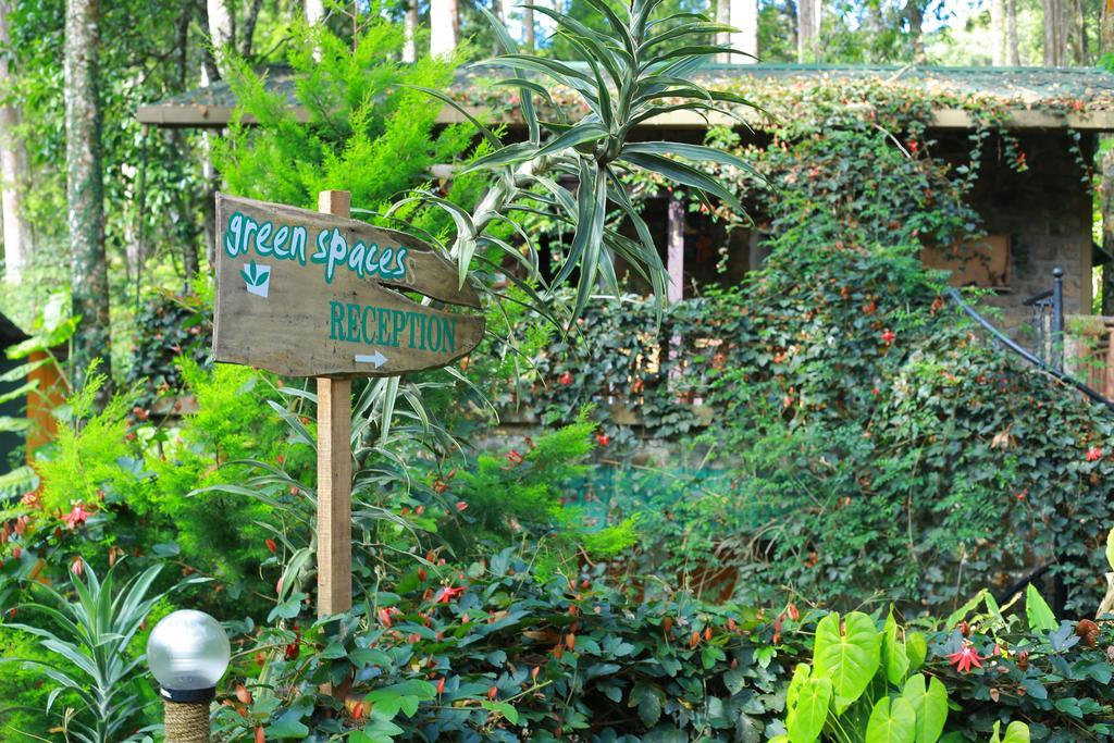 Greenspaces B&B Munnar Dış mekan fotoğraf