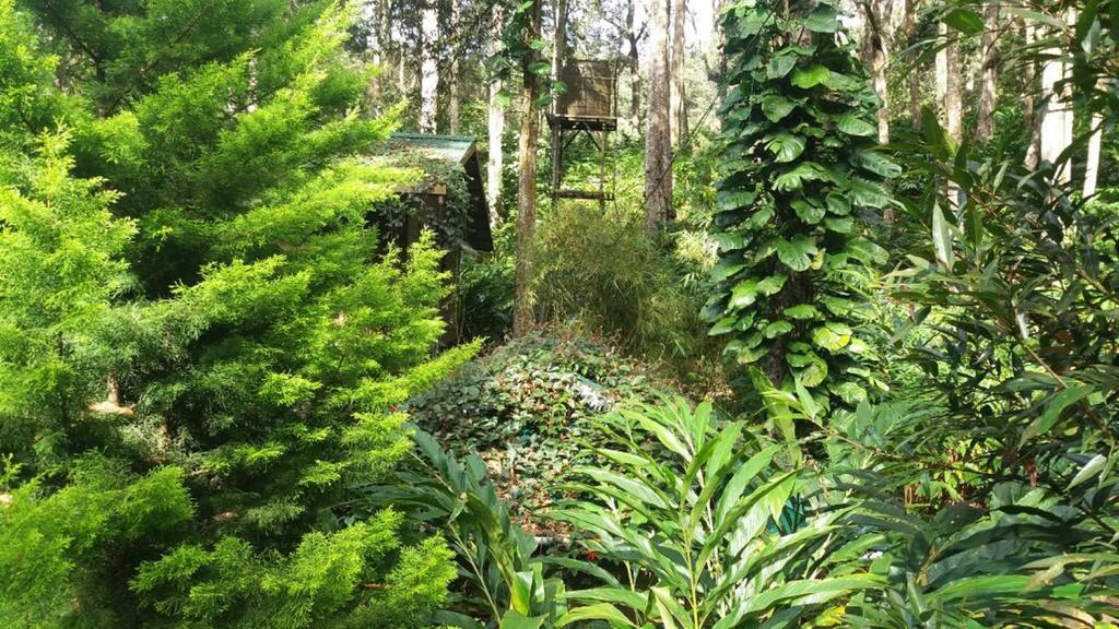 Greenspaces B&B Munnar Dış mekan fotoğraf