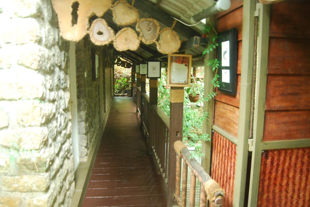 Greenspaces B&B Munnar Dış mekan fotoğraf