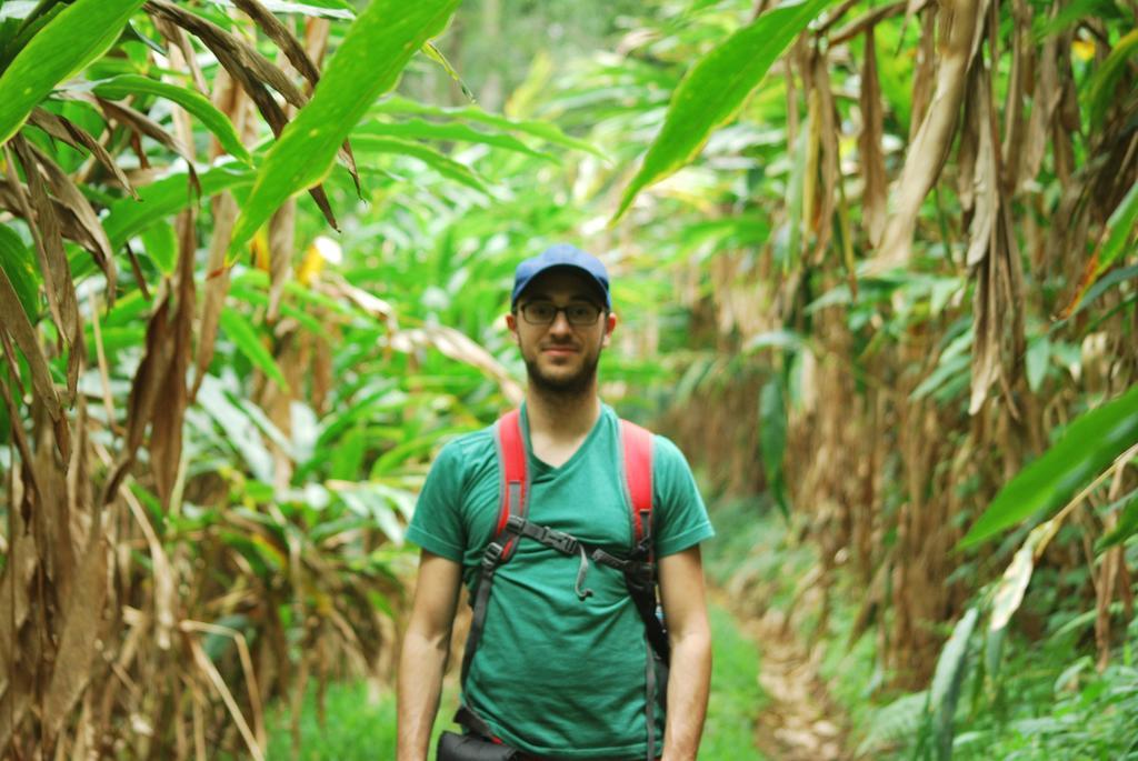 Greenspaces B&B Munnar Dış mekan fotoğraf