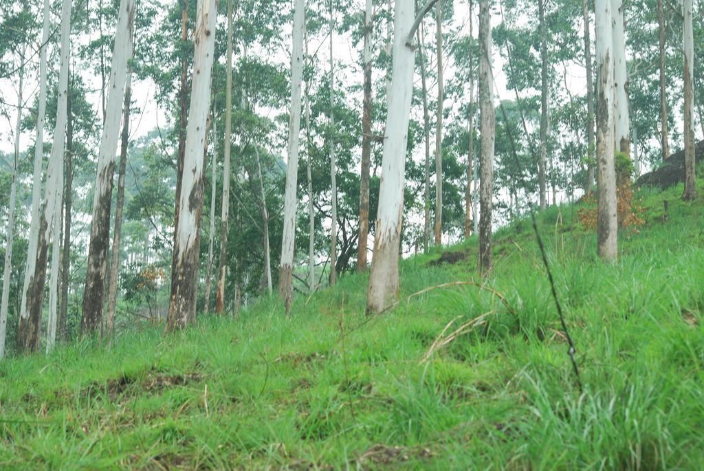 Greenspaces B&B Munnar Dış mekan fotoğraf