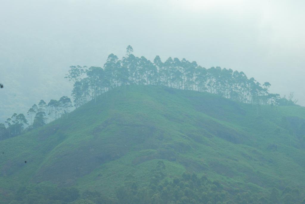 Greenspaces B&B Munnar Dış mekan fotoğraf