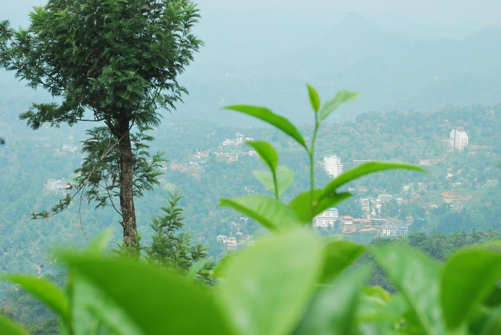 Greenspaces B&B Munnar Dış mekan fotoğraf