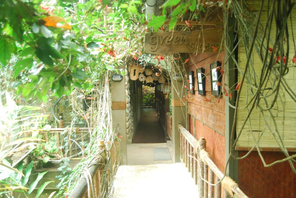 Greenspaces B&B Munnar Dış mekan fotoğraf