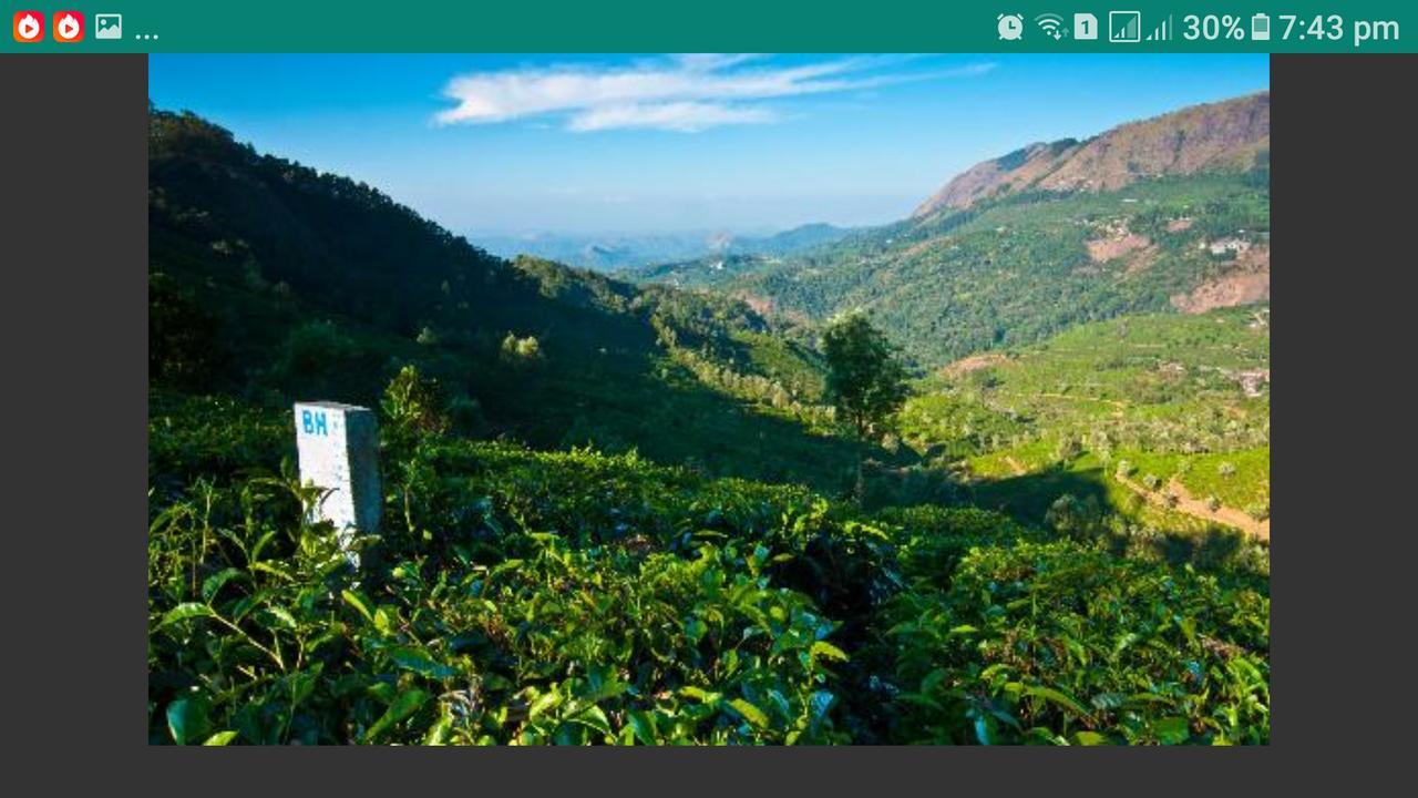 Greenspaces B&B Munnar Dış mekan fotoğraf
