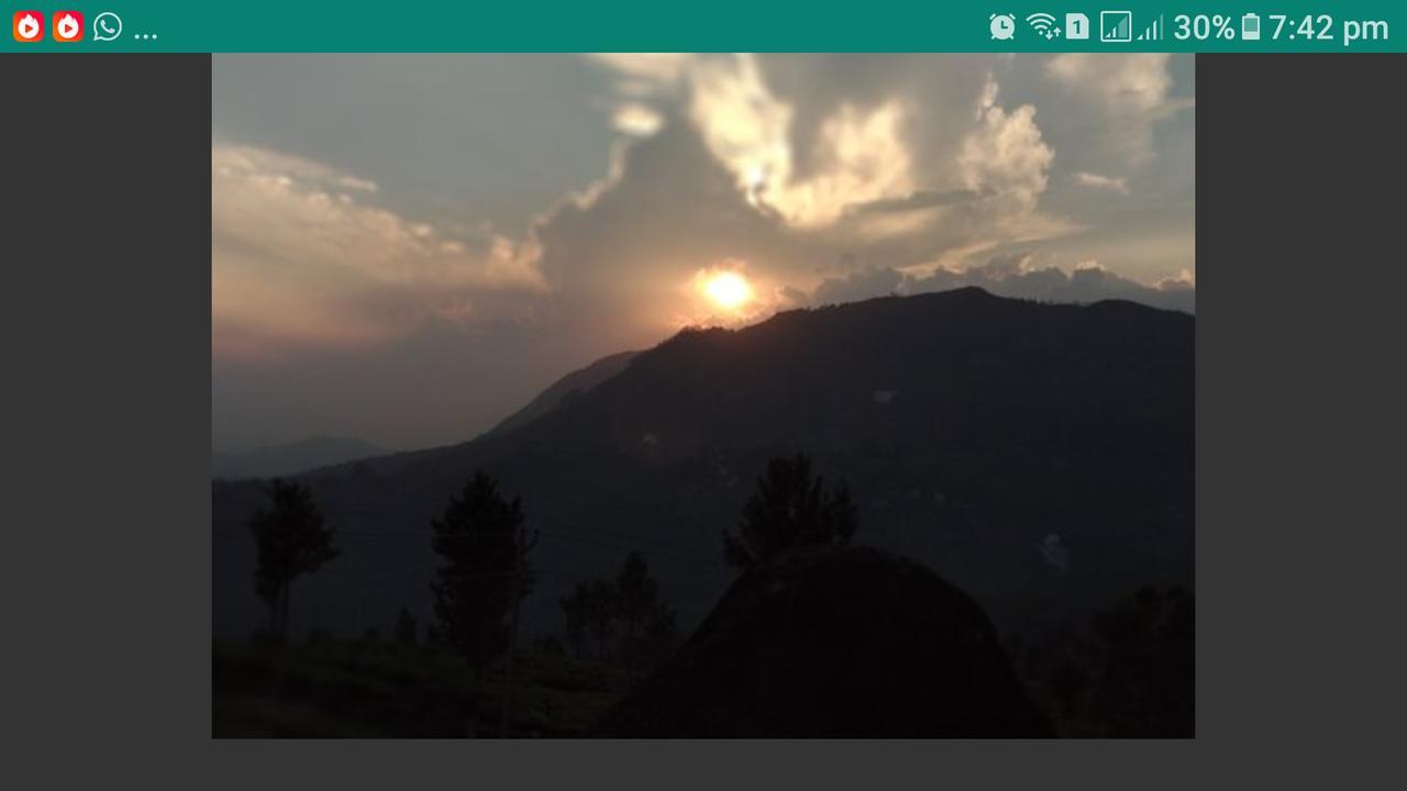 Greenspaces B&B Munnar Dış mekan fotoğraf